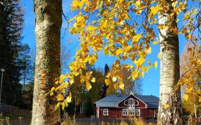 Tiedote jäsenille Nuorisoseuran toimintavuodesta